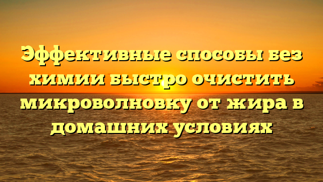 Эффективные способы без химии быстро очистить микроволновку от жира в домашних условиях